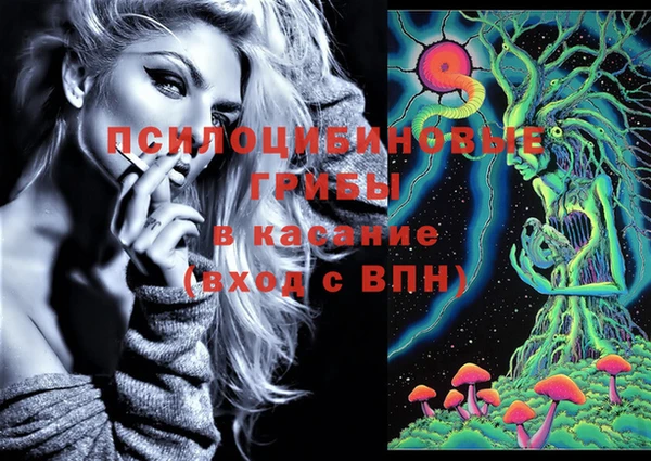 apvp Белокуриха