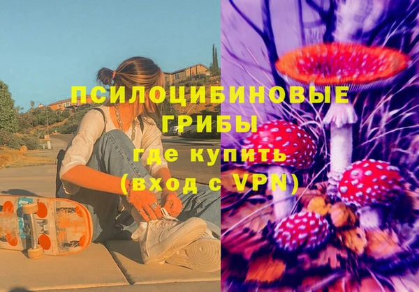 apvp Белокуриха