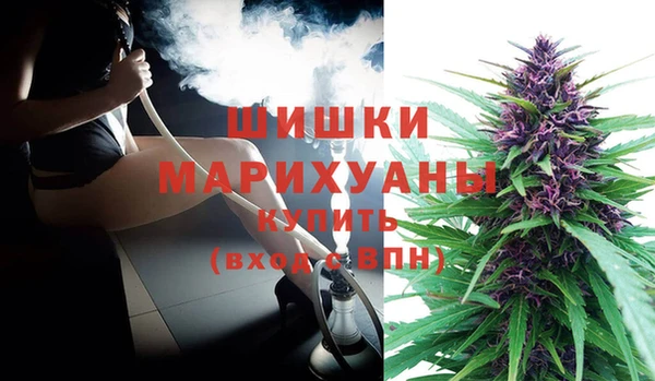 apvp Белокуриха