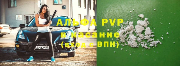 молекула духа Сосновый Бор