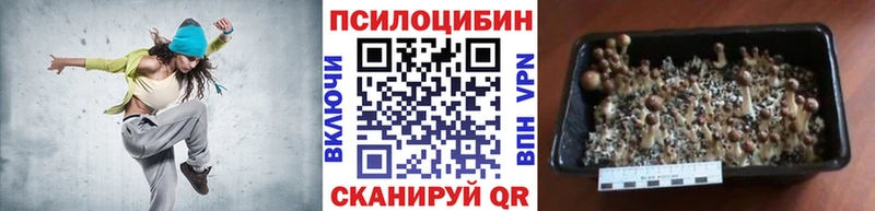 Псилоцибиновые грибы мицелий  площадка состав  Оха 